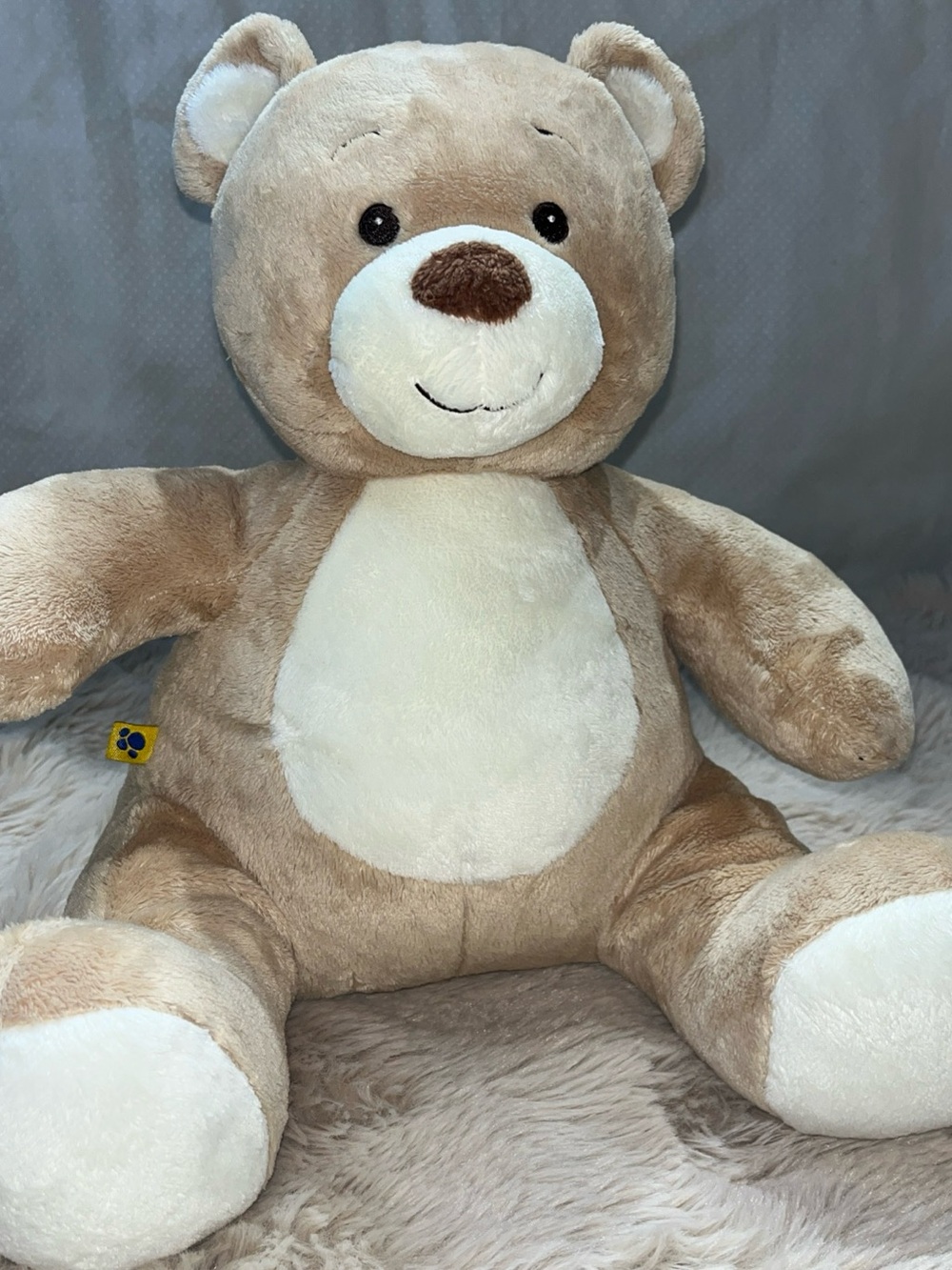 Build A Bear Ashma and Allergy Friendly stuffed Animal